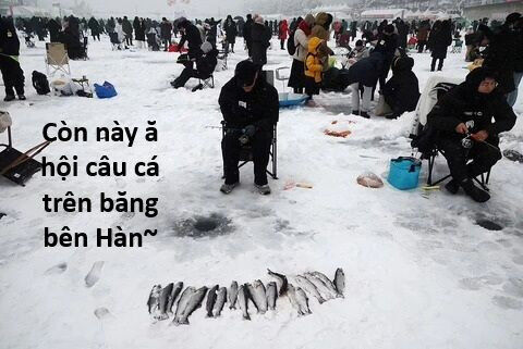 Hổ Đến Chơi Nhà Chapter 135 - 70