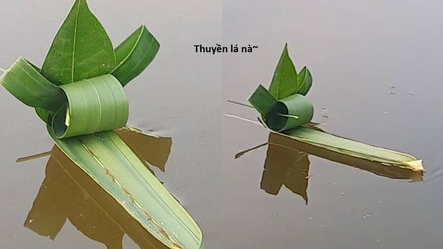 Hổ Đến Chơi Nhà Chapter 135 - 73