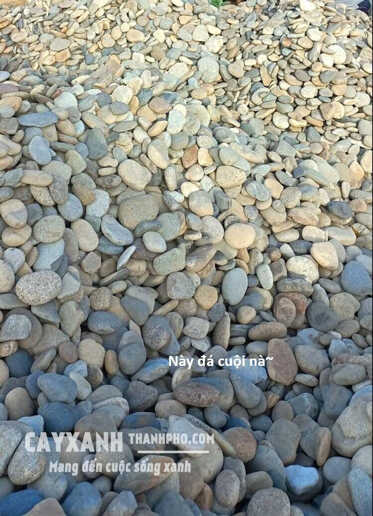 Hổ Đến Chơi Nhà Chapter 136 - 48