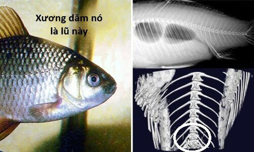 Hổ Đến Chơi Nhà Chapter 136 - 60