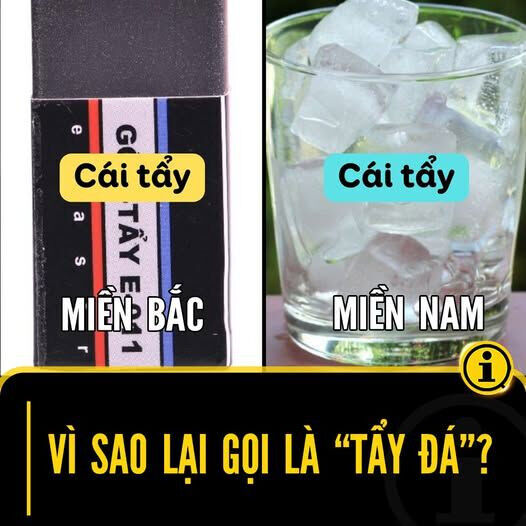 Hổ Đến Chơi Nhà Chapter 137 - 86