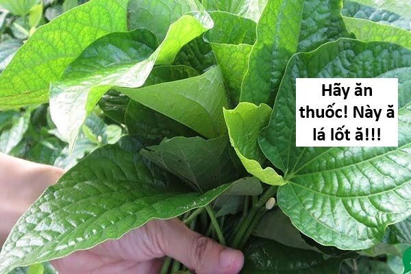 Hổ Đến Chơi Nhà Chapter 139 - 49