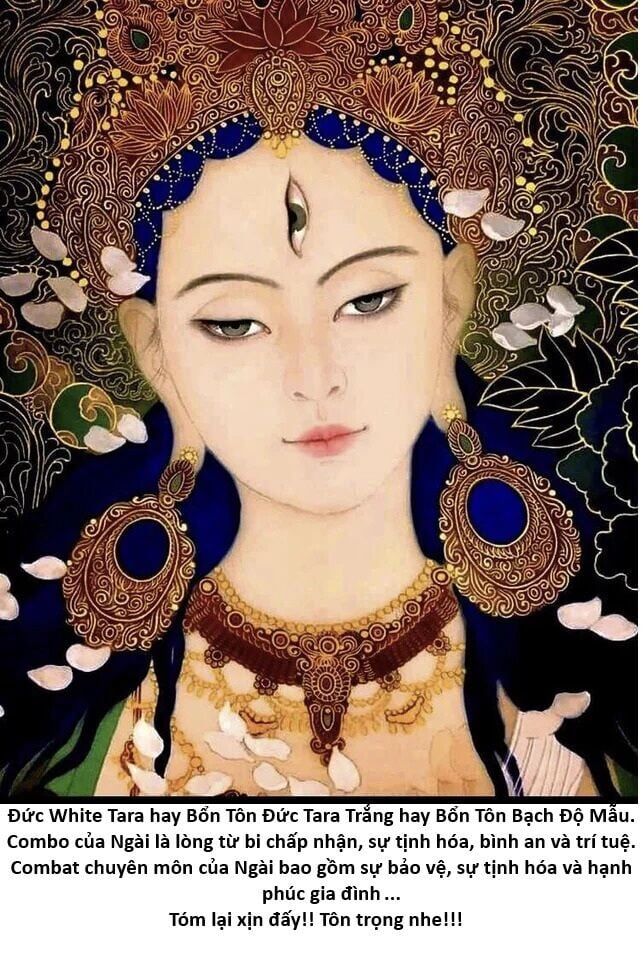 Hổ Đến Chơi Nhà Chapter 142 - 73