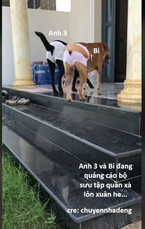 Hổ Đến Chơi Nhà Chapter 142 - 81