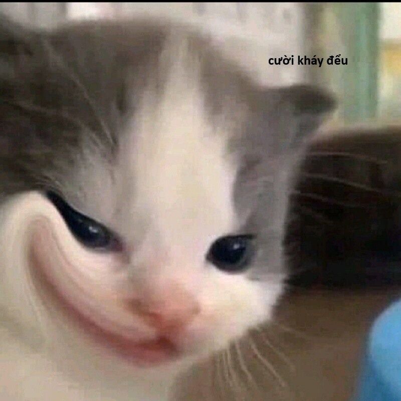 Hổ Đến Chơi Nhà Chapter 143 - 75