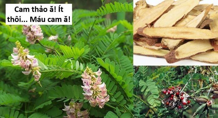 Hổ Đến Chơi Nhà Chapter 143 - 80