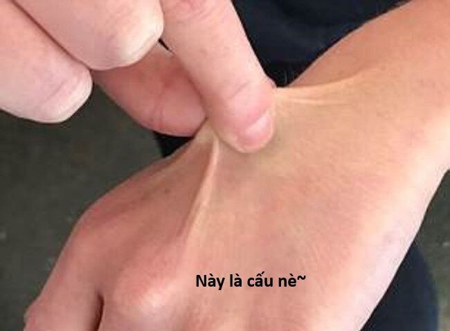 Hổ Đến Chơi Nhà Chapter 144 - 64