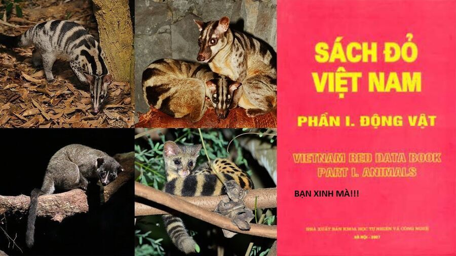 Hổ Đến Chơi Nhà Chapter 144 - 75