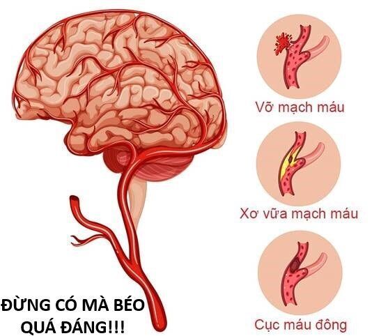 Hổ Đến Chơi Nhà Chapter 144 - 76