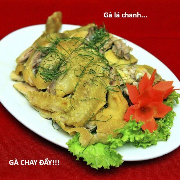 Hổ Đến Chơi Nhà Chapter 145 - 31