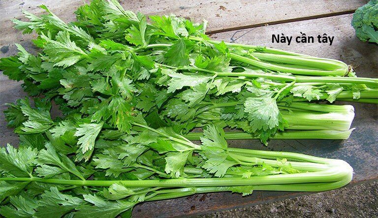 Hổ Đến Chơi Nhà Chapter 145 - 32