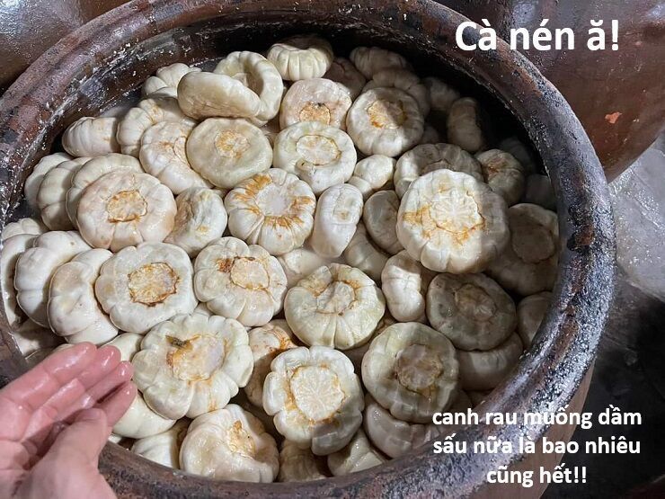 Hổ Đến Chơi Nhà Chapter 145 - 41