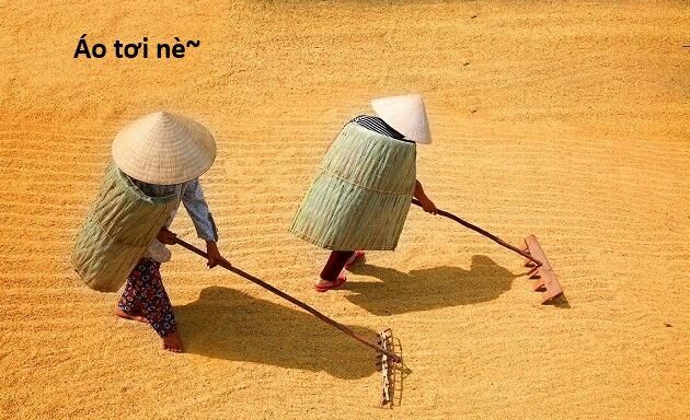 Hổ Đến Chơi Nhà Chapter 146 - 102