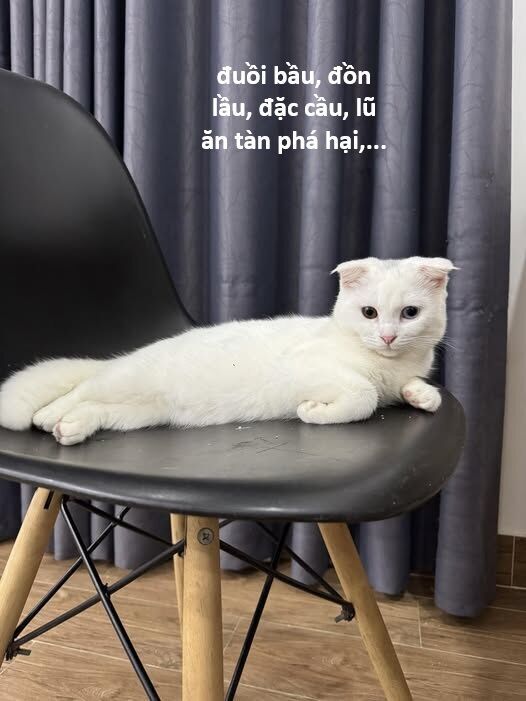 Hổ Đến Chơi Nhà Chapter 146 - 94