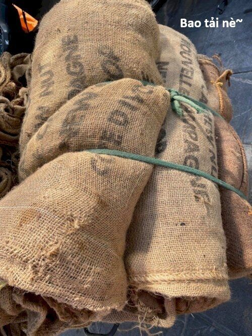 Hổ Đến Chơi Nhà Chapter 147 - 135