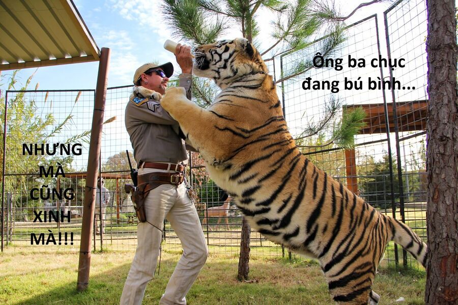 Hổ Đến Chơi Nhà Chapter 148 - 48