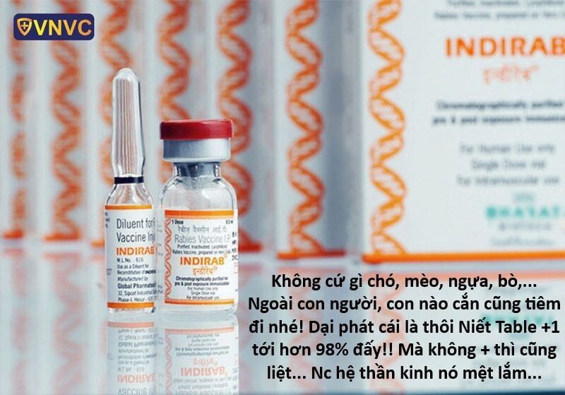 Hổ Đến Chơi Nhà Chapter 151 - 10