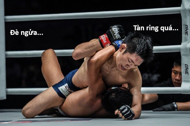 Hổ Đến Chơi Nhà Chapter 152 - 8