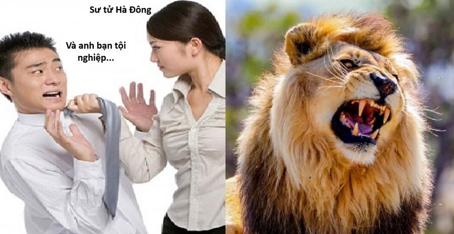 Hổ Đến Chơi Nhà Chapter 152 - 9