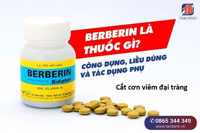 Hổ Đến Chơi Nhà Chapter 153 - 10