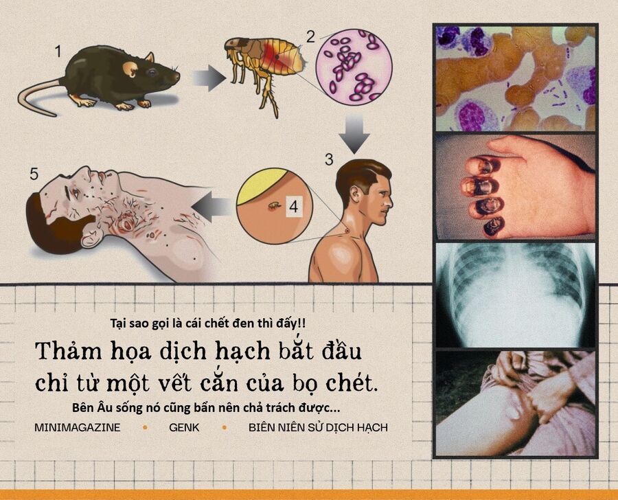 Hổ Đến Chơi Nhà Chapter 156 - 18