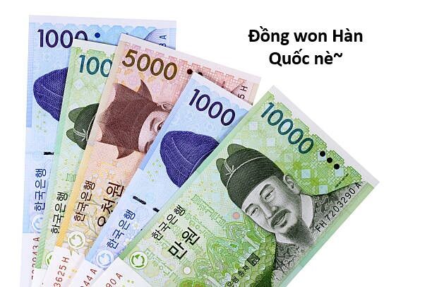 Hổ Đến Chơi Nhà Chapter 159 - 15