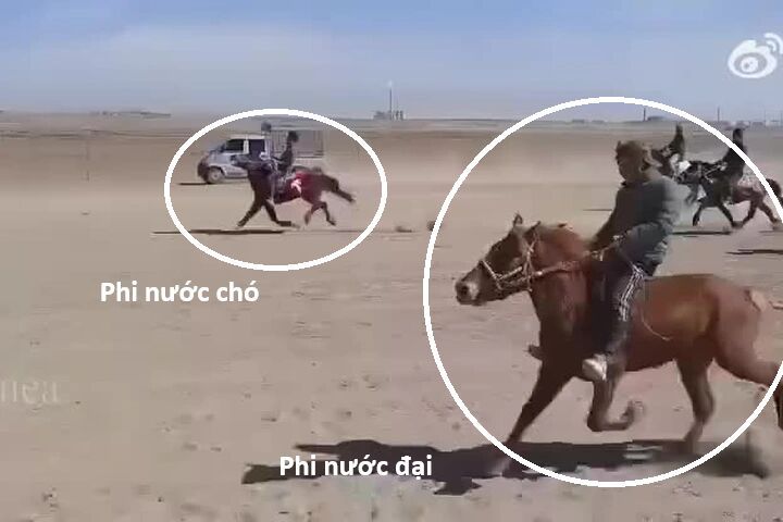 Hổ Đến Chơi Nhà Chapter 169 - 13