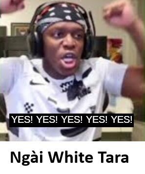 Hổ Đến Chơi Nhà Chapter 169 - 3