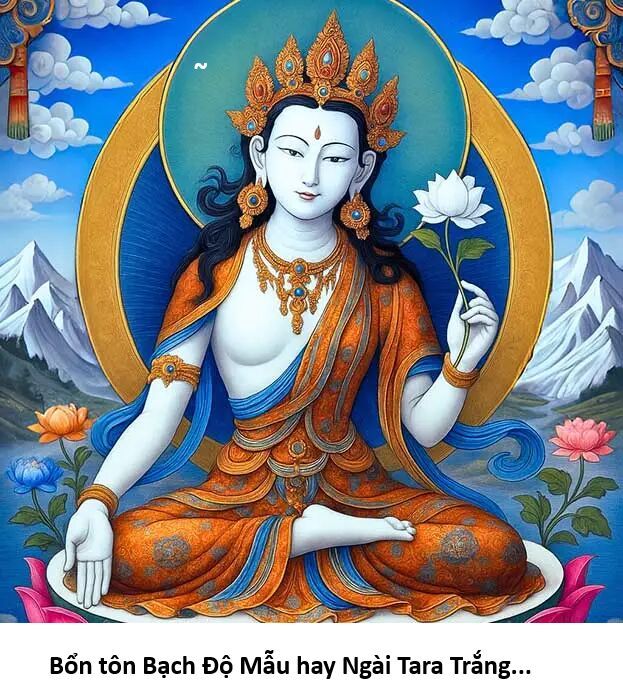 Hổ Đến Chơi Nhà Chapter 169 - 8