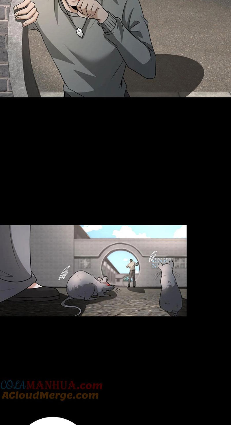 Ngày Tôi Sinh Ra, Bách Quỷ Dạ Hành, Tuyết Thi Hộ Đạo Chapter 148 - 17