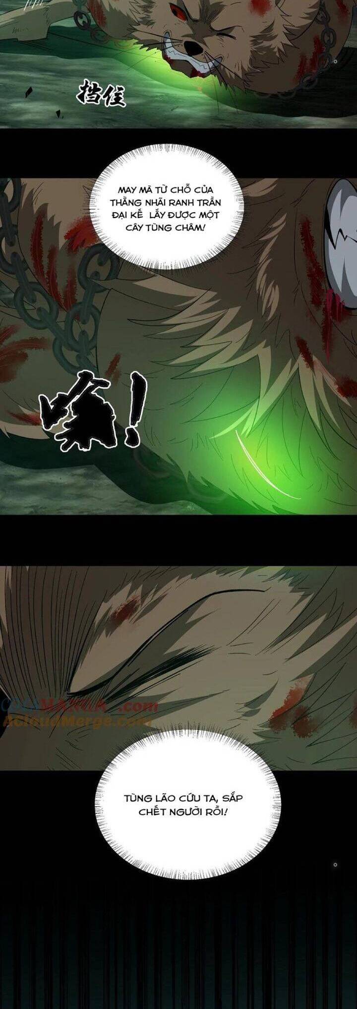 Ngày Tôi Sinh Ra, Bách Quỷ Dạ Hành, Tuyết Thi Hộ Đạo Chapter 358 - 4