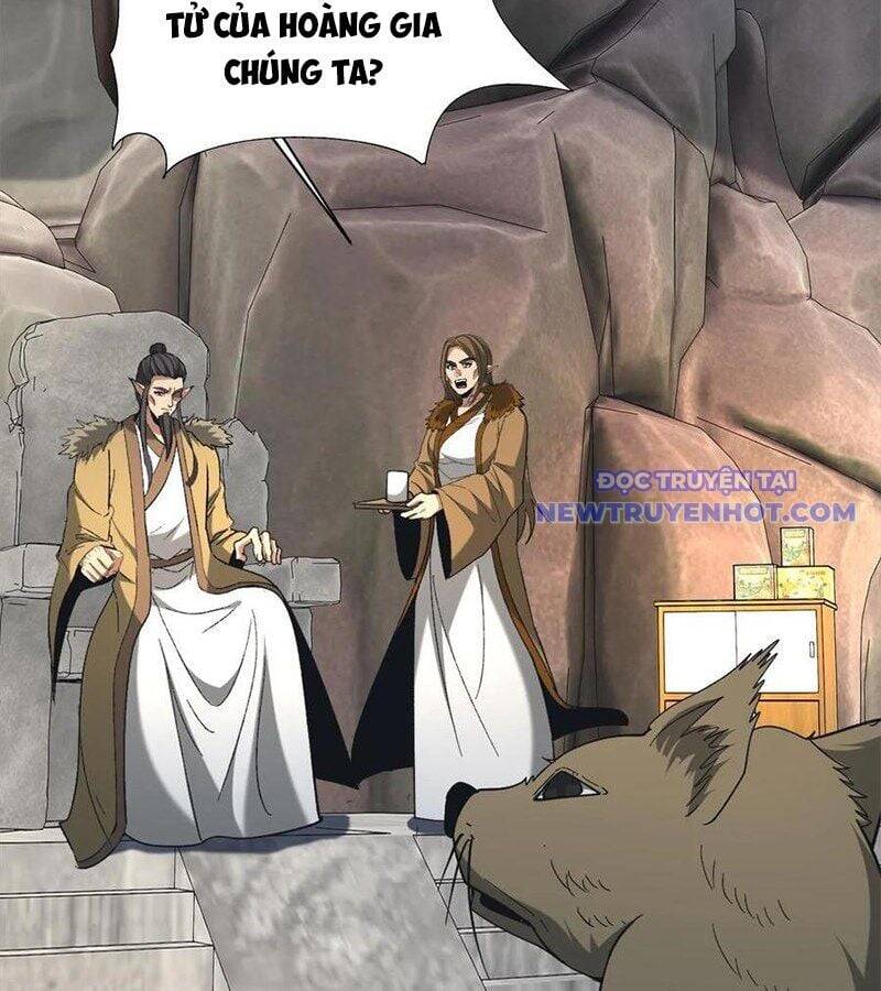 Ngày Tôi Sinh Ra, Bách Quỷ Dạ Hành, Tuyết Thi Hộ Đạo Chapter 578 - 5