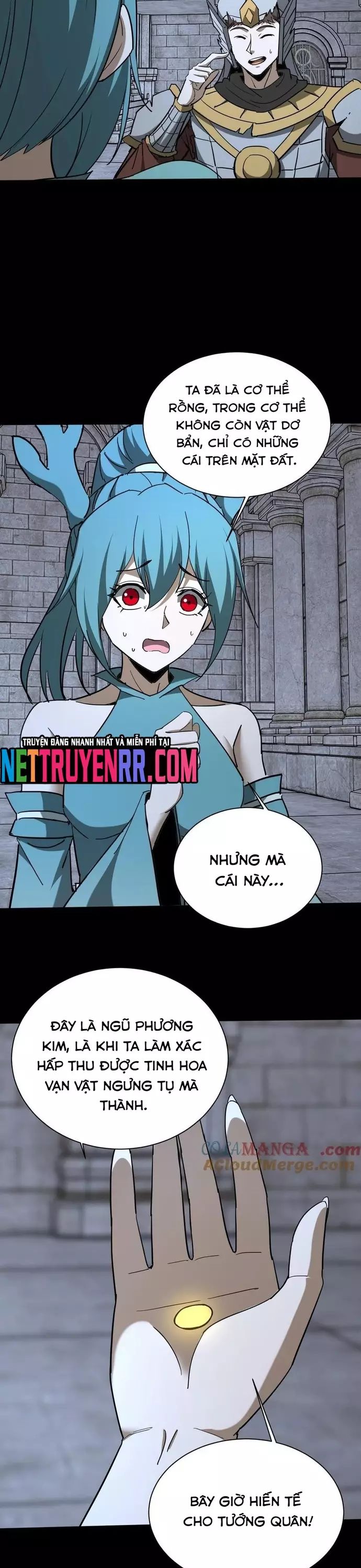 Ngày Tôi Sinh Ra, Bách Quỷ Dạ Hành, Tuyết Thi Hộ Đạo Chapter 744 - 5