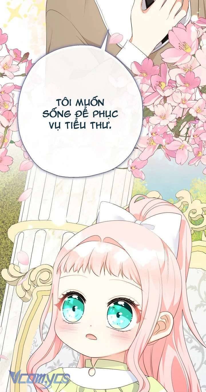 Tiểu Thư Tích Tiền Đi Bụi Chapter 79 - 65