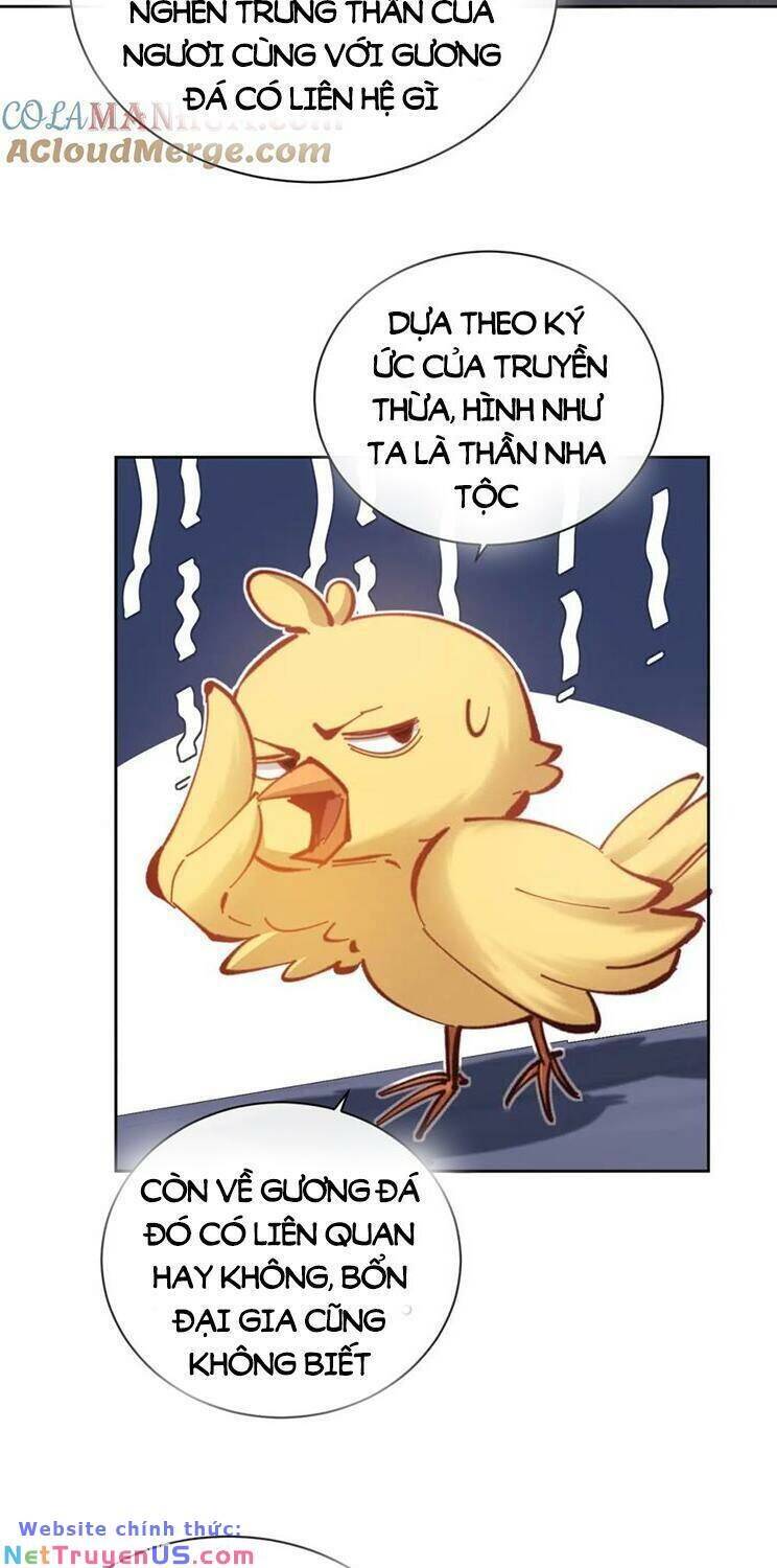 Sư Tôn: Nghịch Đồ Này Mới Không Phải Là Thánh Tử Chapter  23.5 - 50