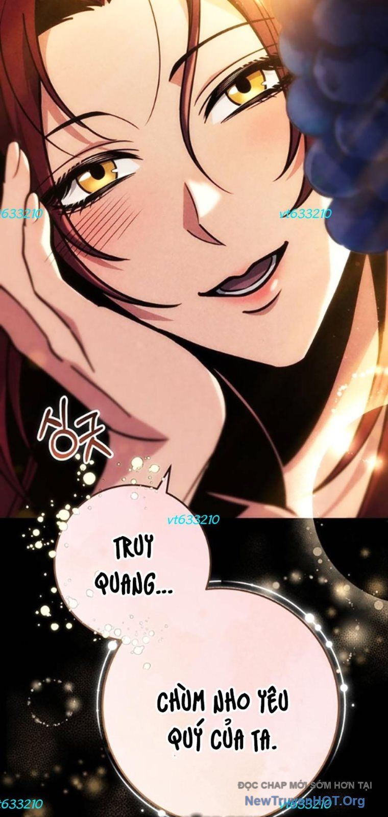 Thanh Kiếm Của Hoàng Đế Chapter 97 - 51