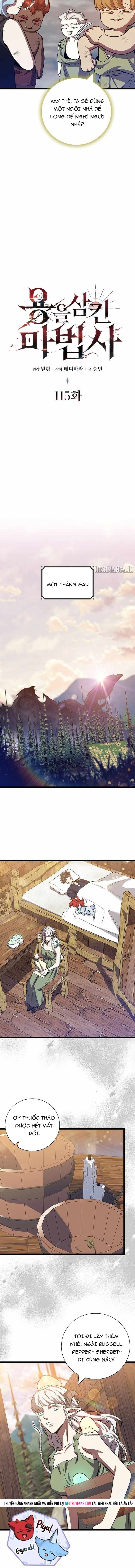 Thực Long Ma Pháp Sư Chapter 115 - 2