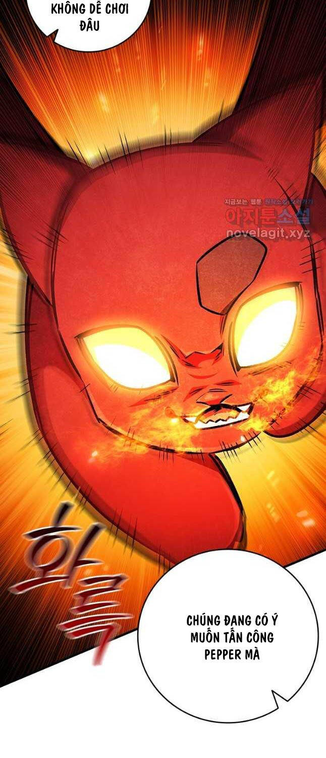 Thực Long Ma Pháp Sư Chapter 61 - 66