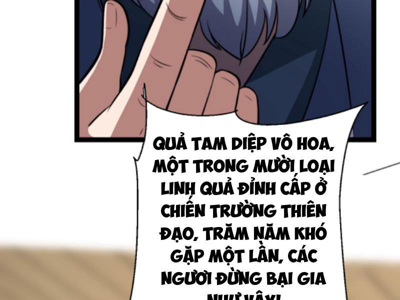 Thiên Khải Bại Gia Chapter 187 - 32