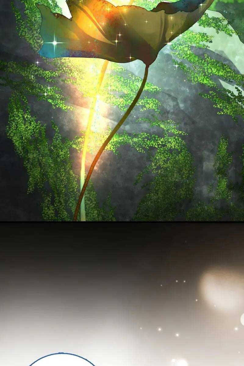 Thiên Tài Võ Thuật Hồi Quy Chapter 25 - 82
