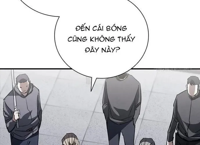 Cá Mập Wyvern Chapter 113 - 248