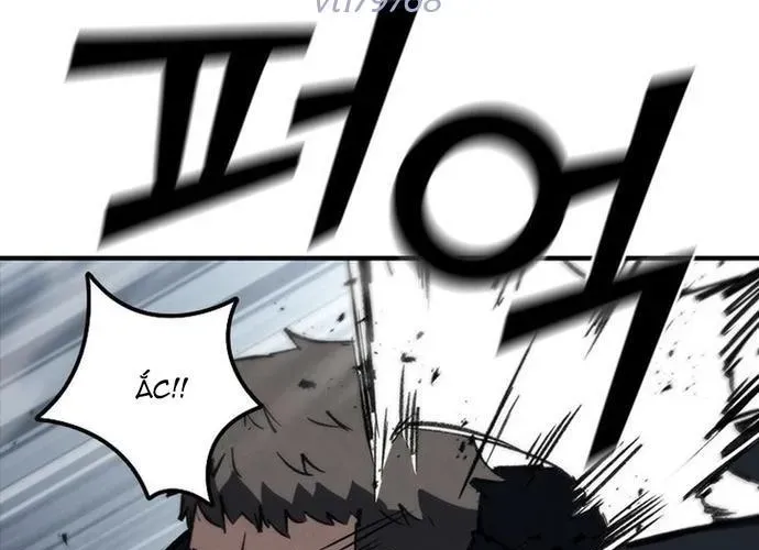 Cá Mập Wyvern Chapter 114 - 111