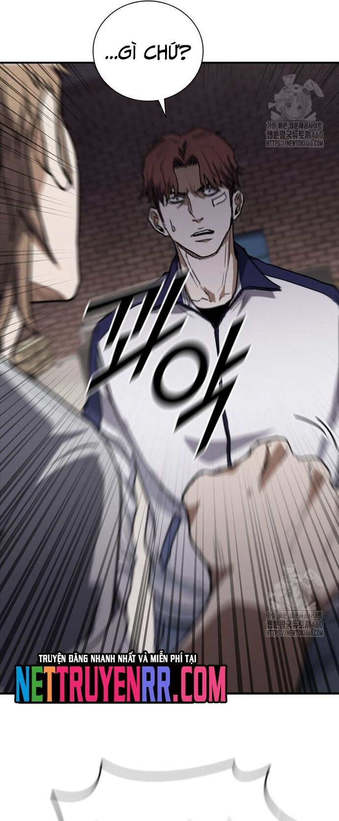 Cá Mập Wyvern Chapter 72 - 47