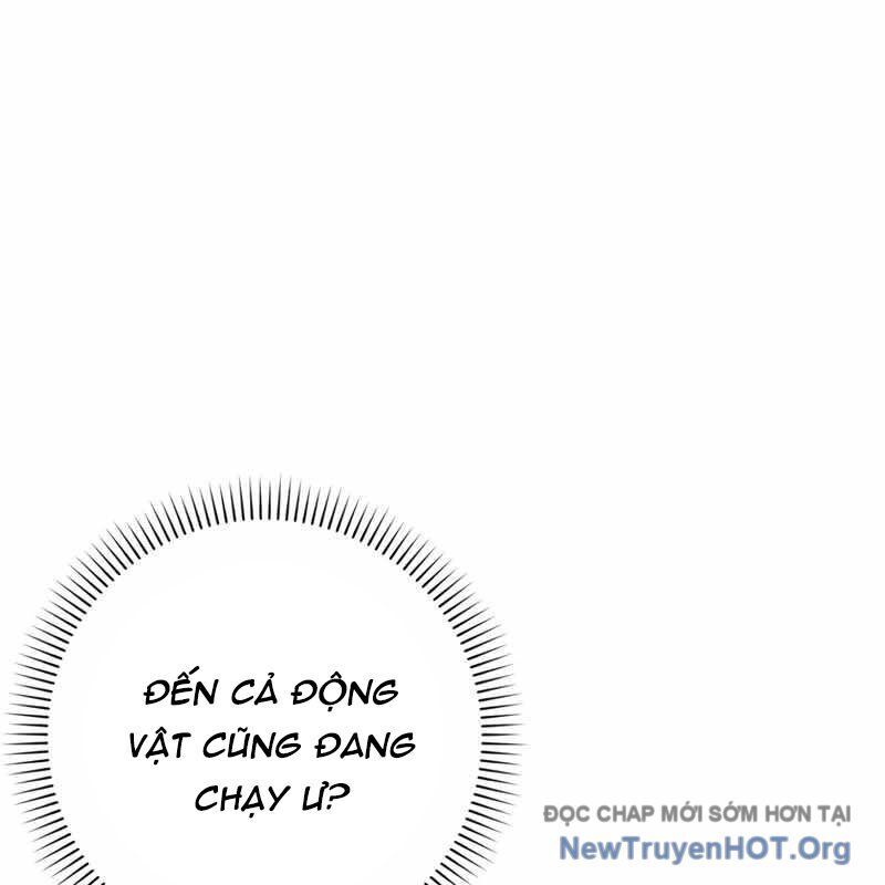 Sát Thủ Tái Sinh Thành Một Kiếm Sĩ Thiên Tài Chapter 71 - 140
