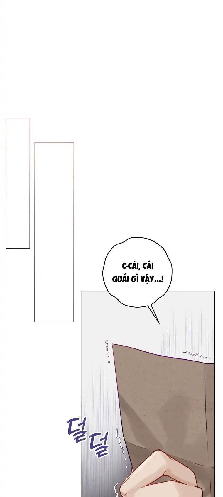 Cuộc Hôn Nhân Xa Hoa Của Đại Công Tước Là Giả Chapter 15.4 - 31