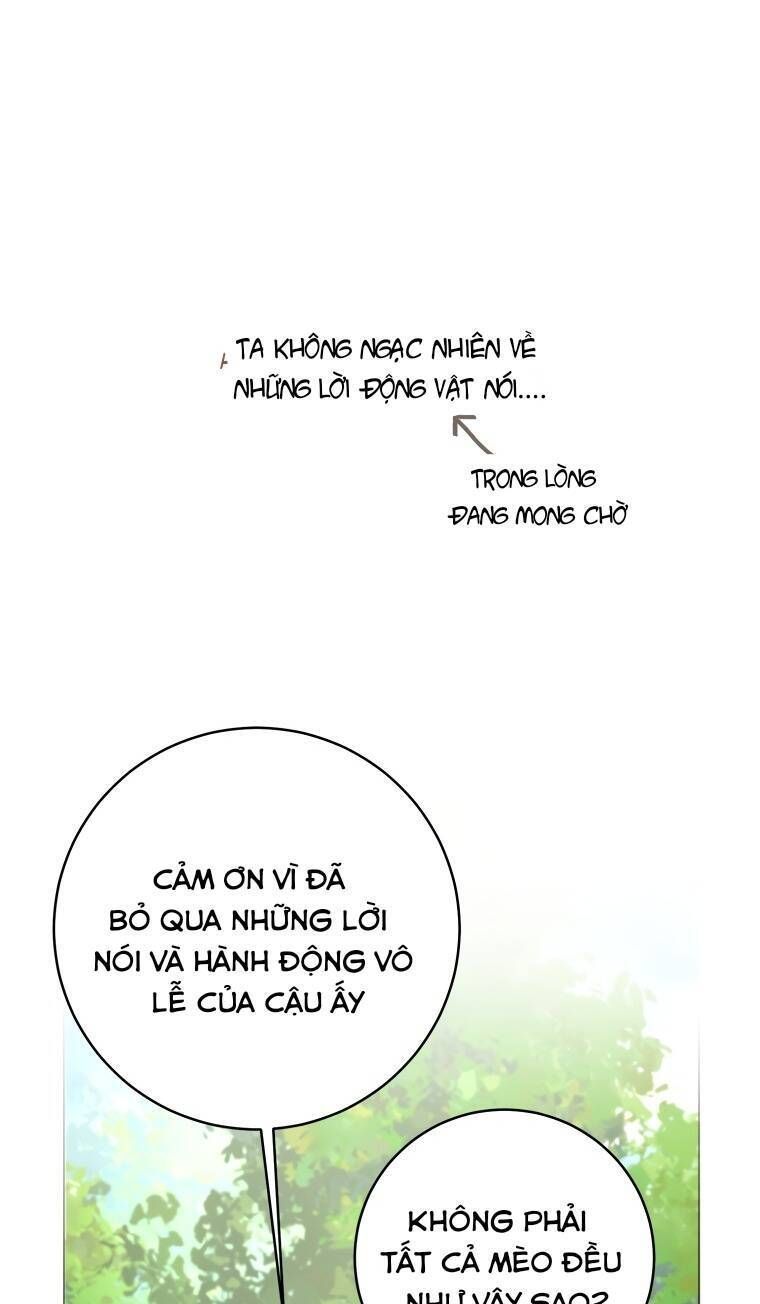Cuộc Hôn Nhân Xa Hoa Của Đại Công Tước Là Giả Chapter 22.4 - 6