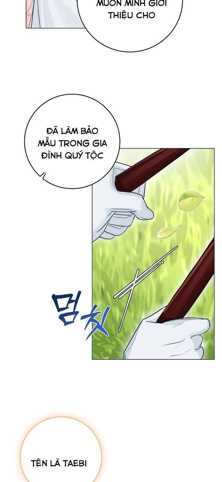 Cuộc Hôn Nhân Xa Hoa Của Đại Công Tước Là Giả Chapter 26.2 - 25