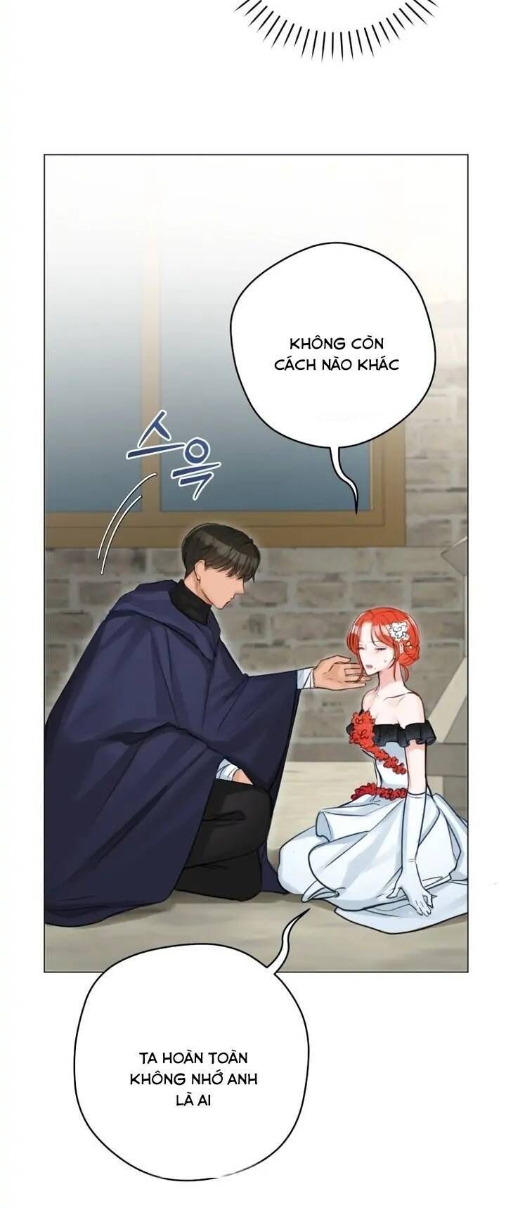 Cuộc Hôn Nhân Xa Hoa Của Đại Công Tước Là Giả Chapter 33.2 - 27