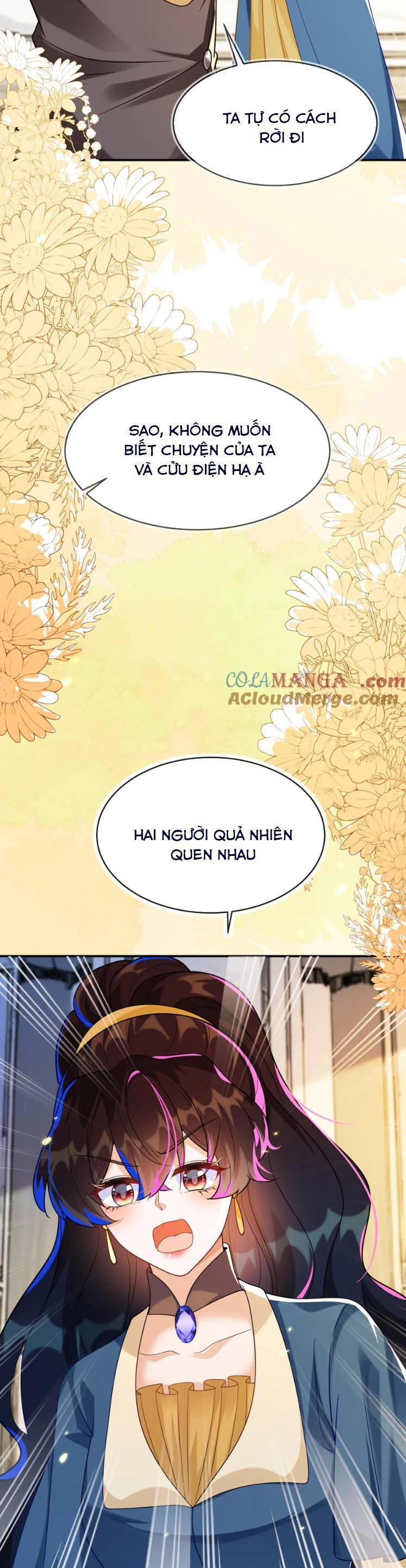 Vừa Mới Huỷ Hôn Đã Bị Dã Hồ Ly Lừa Kết Hôn Chapter 43 - 13