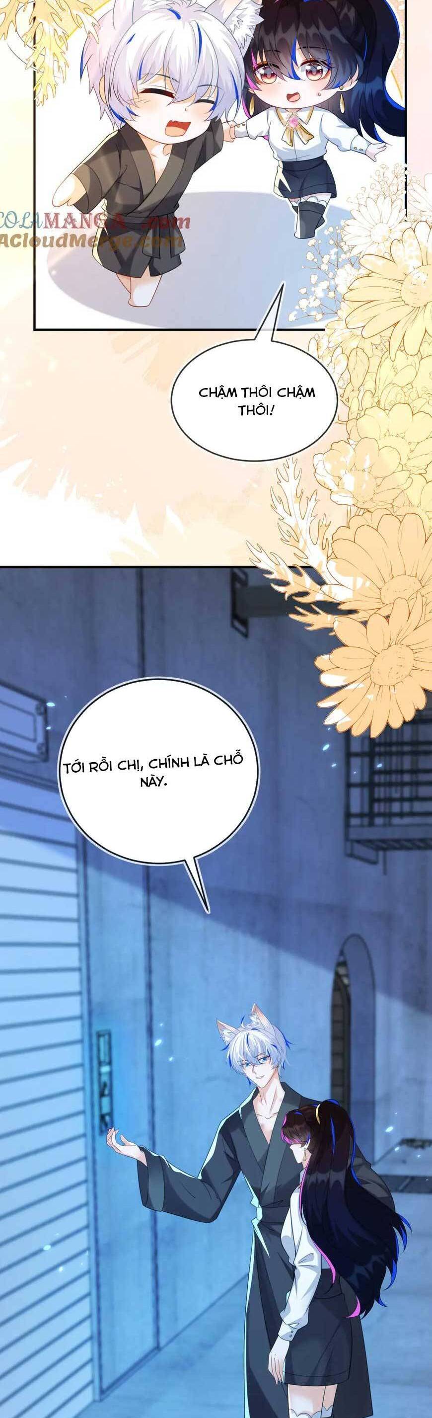 Vừa Mới Huỷ Hôn Đã Bị Dã Hồ Ly Lừa Kết Hôn Chapter 50 - 6